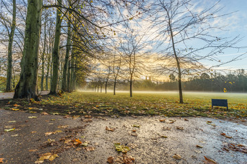 Poster - Autumn leaves at foggy morning at the back of Trinity College in Cambridge, UK