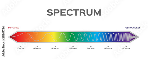 Fotomural infographic of Visible spectrum color. sunlight color