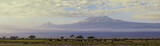 Elephant Panorama