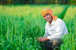 © Niks Ads - Indian farmer holding crop plant in his Wheat field