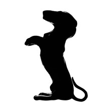 Dachshund Badger Dog Breed, Isolated Pedigree Silhouette, Vertical Illustration, Large Detailed Black Macro Closeup, Kennel Club Concept