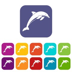 Poster - Dolphin icons set vector illustration in flat style in colors red, blue, green, and other