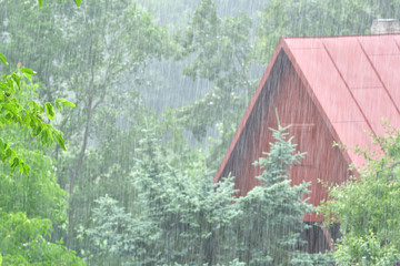 Wall Mural - cold rainy weather in summer on holiday cottage