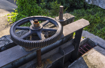 Cog and evening light