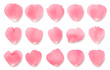 Vector collection of realistic pink rose petals with shadows isolated on white background.