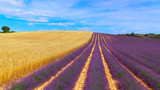 Fototapeta Lawenda - AERIAL: Stunning big fields of purple lavender and yellow wheat