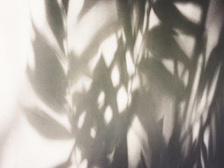 Aufkleber - Tree leaves shadow on wall Nature Abstract background