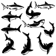 Set of shark illustrations. Design element for logo, label, print, badge, poster.