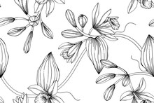 Seamless Vanilla Flower Pattern Background.