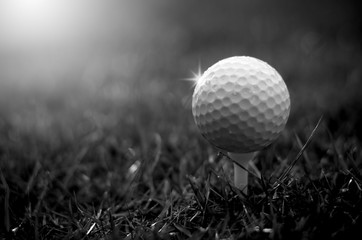 Wall Mural - Golf ball with warm sunlight and raining at sunset