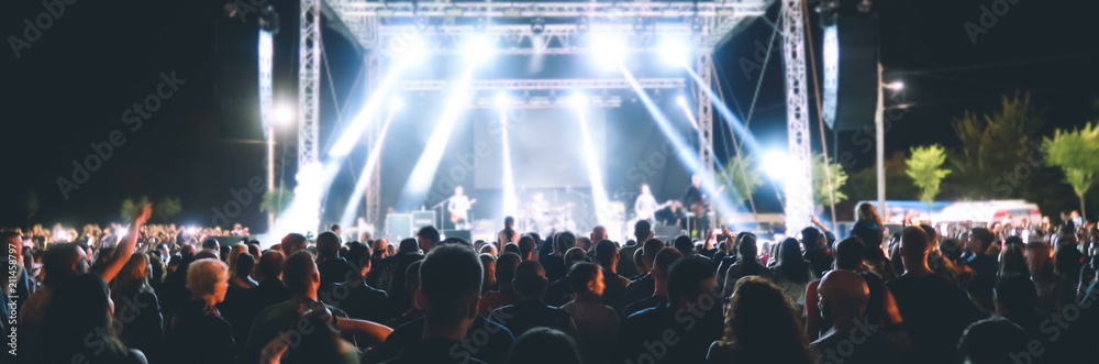 Crowd of people in a concert - obrazy, fototapety, plakaty 