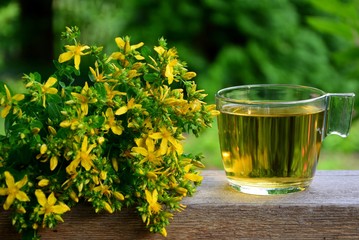 Yellow flowers of hypericum or St. John's wort medicinal plant and tea from it on a wooden table on the garden background.