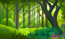 Lush Dense Green Forest With Sun Rays Touching The Plants And Trees