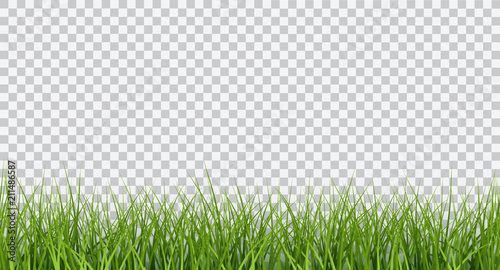 Cuadros en Lienzo Vector bright green realistic seamless grass border isolated on transparent back