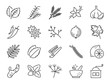 Spices and herbs icon set. Included icons as basil, thyme, ginger, pepper, parsley, mint and more.