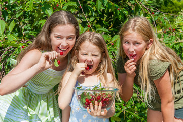 Wall Mural - Group of happy kids eating cherry