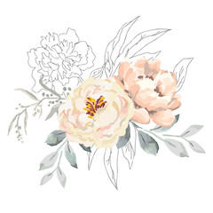 Blush creamy peony flowers and gray leaves with graphic elements. Vector illustration on the white background. Floral bouquet. Design greeting card. Invitation background. Botanical blossom