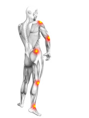 conceptual human muscle anatomy with red and yellow hot spot inflammation or articular joint pain fo