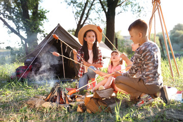 Wall Mural - little children frying sausages on bonfire. summer camp