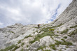 © Nino Pavisic - Hiker on path to Balinovac peak on Velebit mountain, Croatia.