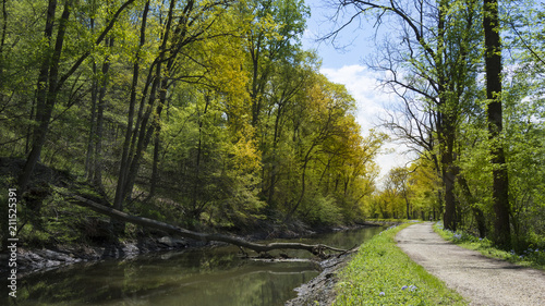 Fotografía A gravel bicycle path runs through the forest beside the historic Canal Towpath