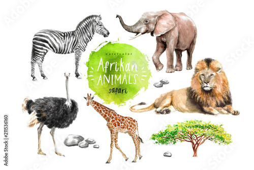 Fotografía watercolor illustration of wildlife in Africa: zebra, lion, ostrich, elephant, g