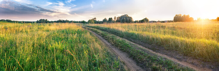 Wall Mural - country road in the field