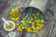 Hypericum - St Johns wort plants, oil or infusion bottle, mortar on wooden board.