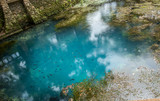 Fototapeta Las - Blue Radium Springs 