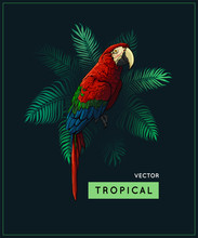 Summer Vector Design And Vintage Style Jungle Illustration With Tropical Palm Tree And Parrot - Exotic Bird Isolated On Dark Background, Closeup. Jungle And Tropic Image.
