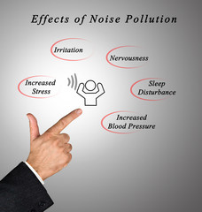 Sticker - Effects of Noise Pollution