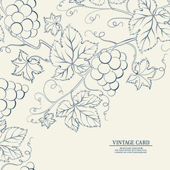 Grapes design for wine menu. Wine list label. Vector illustration.