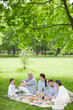 © pressmaster - Family of five people sitting on gree lawn, talking and enjoying their picnic in park