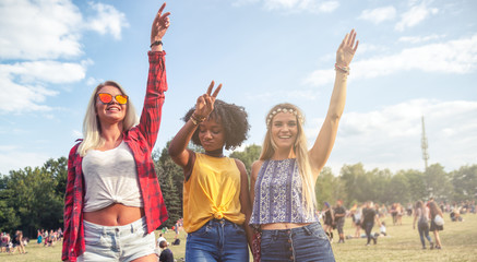 Wall Mural - Enthusiastic group of friends at summer music festival having fun together