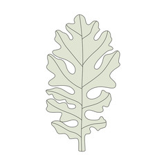 Sticker - Illustration of a dusty miller leaf