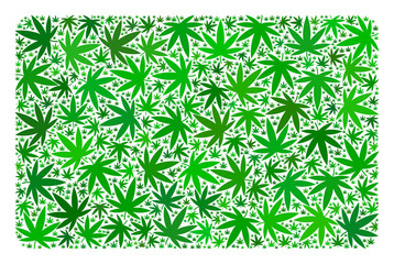 Wall Mural - Filled rectangle mosaic of weed leaves in different sizes and green shades. Vector flat ganja leaves are organized into filled rectangle illustration. Herbal vector illustration.