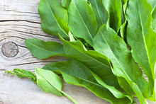 Fresh Vegetable Green Leaves Of Sour Sorrel On A Wooden Background. Organic Food