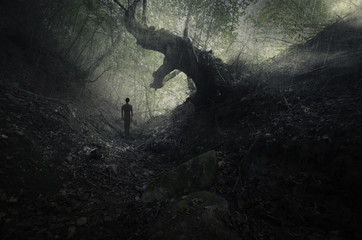 Wall Mural - scary forest scene with old tree and mysterious ghostly figure, gothic landscape