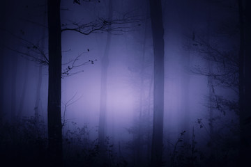 Wall Mural - dark fantasy forest background, magical purple light
