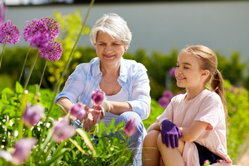 gardening, family and people concept - happy grandmother and granddaughter with flowers at summer garden