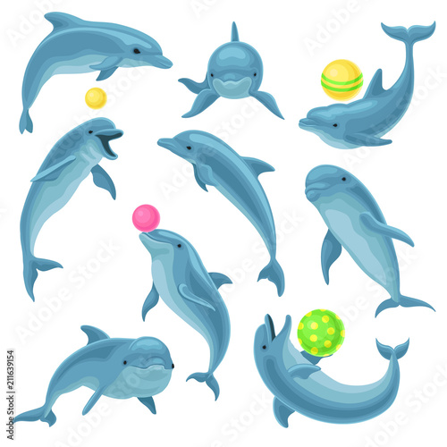 Fotomural Cute blue dolphins set, dolphin jumping and performings tricks with ball for ent
