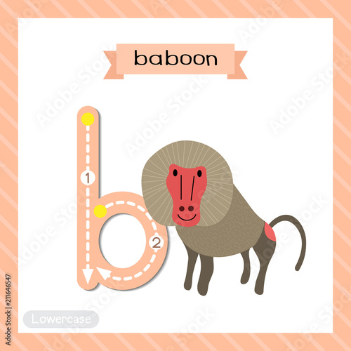 Animals That Start With The Letter B - Carinewbi