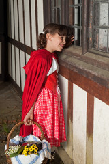 Wall Mural - Little red riding hood at grandma's window