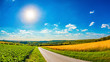 Summer landscape with bright sun and a country road through golden cornfields