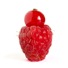 Ripe Raspberry with Red Currant on Top Isolated on the White Background