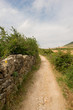 © vicenfoto - Camino de Santiago as it passes through Navarra