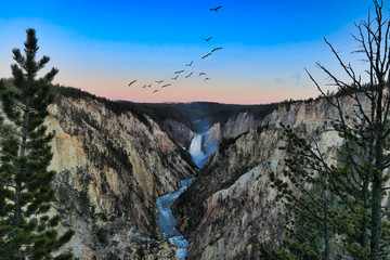 Wall Mural - The lower Falls in the Grand Canyon of Yellowstone National Park in Wyoming is beautiful at sunrise from Artists Point.