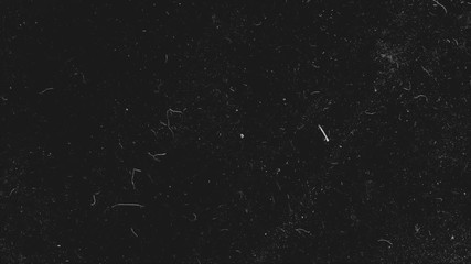 Poster - Realistic dust particles on dark background. Abstract animation. White and glow dust particle abstract on black background