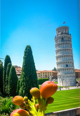 Canvas Print - Leaning Tower of Pisa and cypress trees, palm trees and bright red summer flowers in foreground, Pisa, Tuscany, Italy.