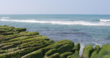 Beautiful Green Reef In New Taipei City Of Taiwan With Sunshine